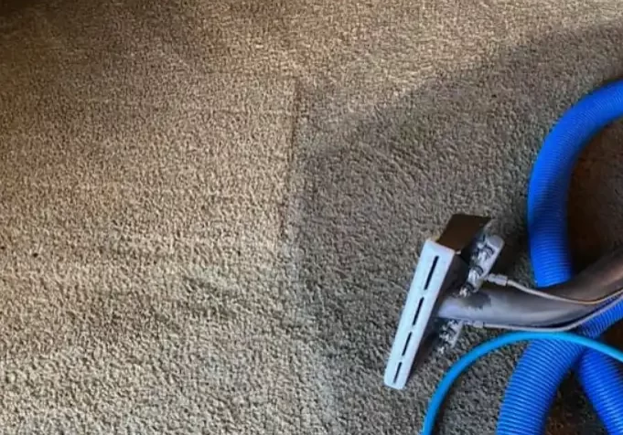 Carpet Cleaning 22